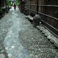 しっとりとした郡上の町並みの写真・動画_image_154486