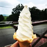 ガンジーファームの写真・動画_image_154539