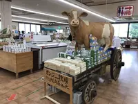 ガンジーファームの写真・動画_image_154541