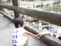 ガンジーファームの写真・動画_image_154542