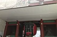 浅草の写真・動画_image_154560
