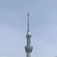 浅草の写真・動画_image_154566