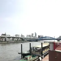 隅田川の写真・動画_image_154581