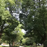 隅田川の写真・動画_image_154582