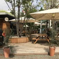 東京ドームの写真・動画_image_154591