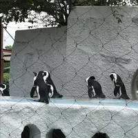 上野動物園の写真・動画_image_154699