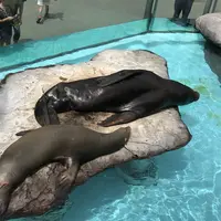 上野動物園の写真・動画_image_154700