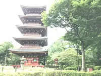 上野動物園の写真・動画_image_154707