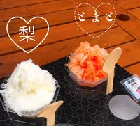 小田原 ひととせの雪の写真・動画_image_154941