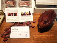 ミニマル　 富ヶ谷本店の写真・動画_image_155088