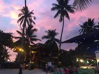 アロナ・ビーチの写真・動画_image_155166