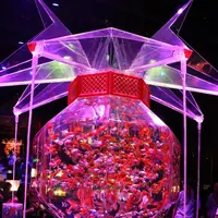 【閉業】アートアクアリウムの写真・動画_image_155600