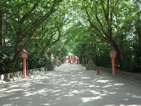 住吉大社の写真・動画_image_155613