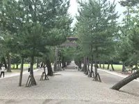 出雲大社の写真・動画_image_155672