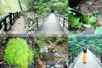 龍王峡の写真・動画_image_155795
