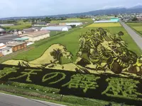 田んぼアートの写真・動画_image_155984