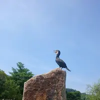 ニジゲンノモリ　林間広場の写真・動画_image_155992