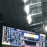 札幌ドームの写真・動画_image_156010