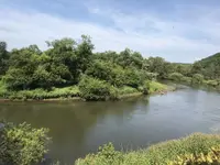 くしろ湿原ノロッコ号の写真・動画_image_156227