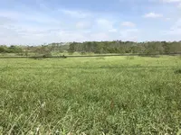 くしろ湿原ノロッコ号の写真・動画_image_156229