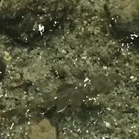 神の子池の写真・動画_image_156237
