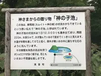 神の子池の写真・動画_image_156238