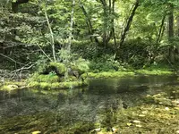 釧路川源流の写真・動画_image_156243