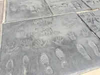 グローマンズ・チャイニーズ・シアターの写真・動画_image_156267