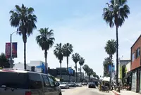 Abbot Kinney BLVD Shoppingの写真・動画_image_156297