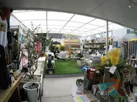 Abbot Kinney BLVD Shoppingの写真・動画_image_156303