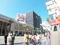 ハリウッド・ウォーク・オブ・フェームの写真・動画_image_156334