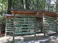 貴船神社 中宮 結社の写真・動画_image_156441