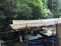 河鹿の写真・動画_image_156450