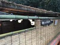 でんべの写真・動画_image_156453