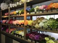 east side tokyoの写真・動画_image_156479