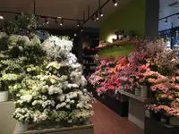east side tokyoの写真・動画_image_156480