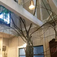 カフェ　オトノヴァの写真・動画_image_156522