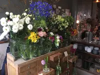 from afar（フロムアファー ）の写真・動画_image_156568