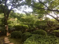 等々力渓谷の写真・動画_image_156610