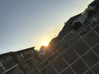 ジョナサン 杉並梅里店の写真・動画_image_156656