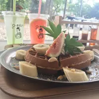 Oedo+の写真・動画_image_157094
