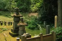 林泉寺の写真・動画_image_157209