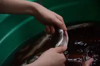 民宿おかもとの写真・動画_image_157450