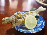 利賀村の写真・動画_image_157471