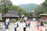 忍野八海の写真・動画_image_157481