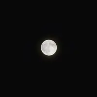 ほったらかし温泉の写真・動画_image_157484