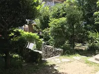 来夏世の写真・動画_image_157581