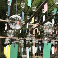 正寿院の写真・動画_image_157586