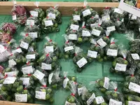 JAファーマーズマーケットやえやま ゆらてぃく市場の写真・動画_image_157601