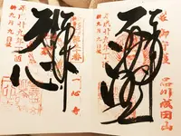 一心寺の写真・動画_image_157706